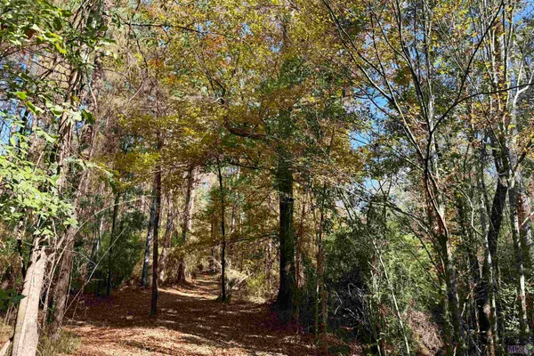 $833,488 | 3 La Highway, Amite, LA 70422