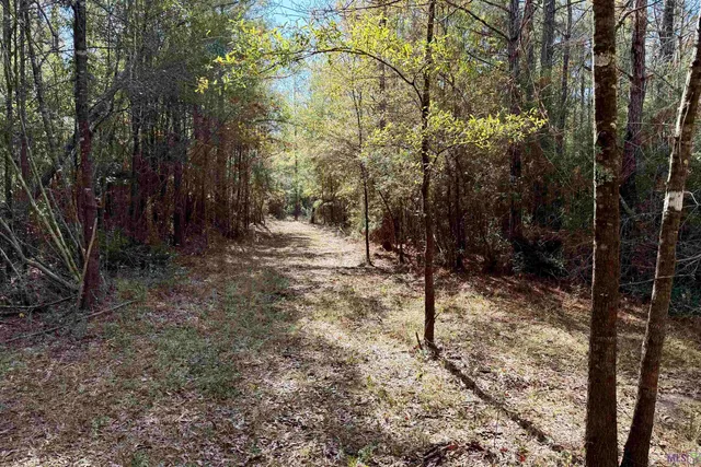 $859,900 | 3 La Highway, Amite, LA 70422