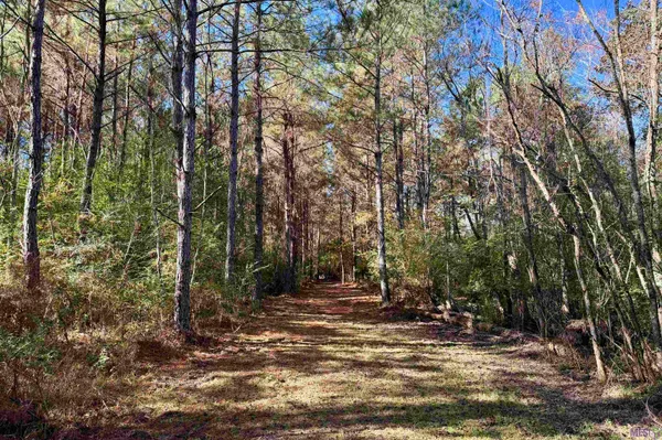 $833,488 | 3 La Highway, Amite, LA 70422