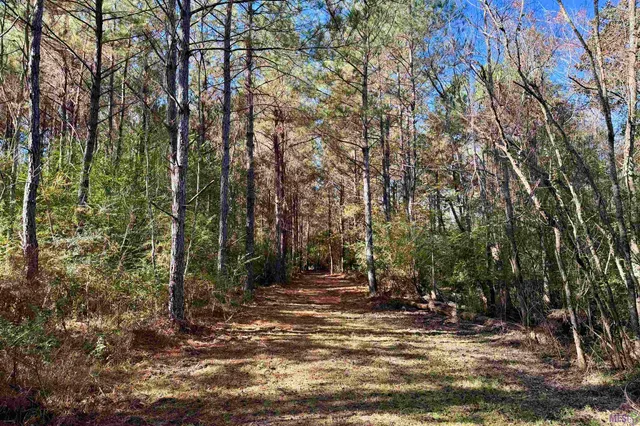 $859,900 | 3 La Highway, Amite, LA 70422