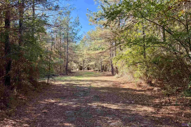 $859,900 | 3 La Highway, Amite, LA 70422