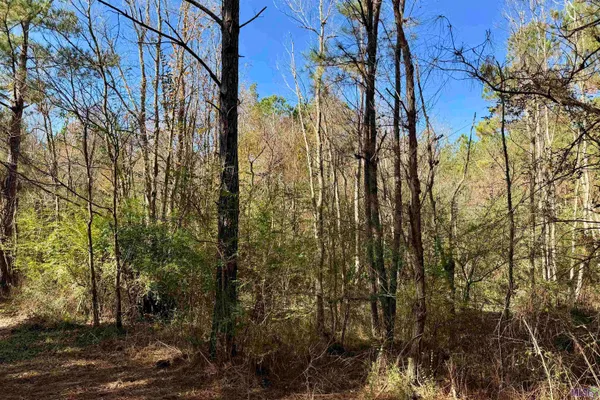 $833,488 | 3 La Highway, Amite, LA 70422