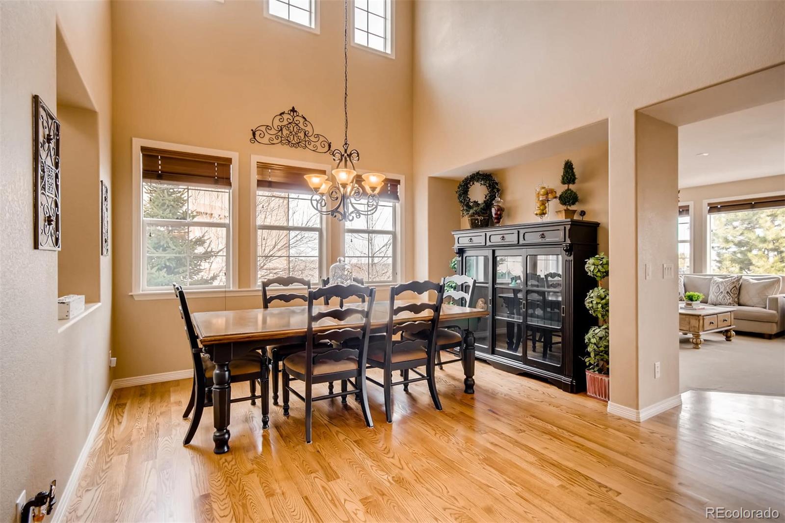 4472 Cedarpoint Place Highlands Ranch, CO 80130 - Photo 6 of 28 Gallery Image 6