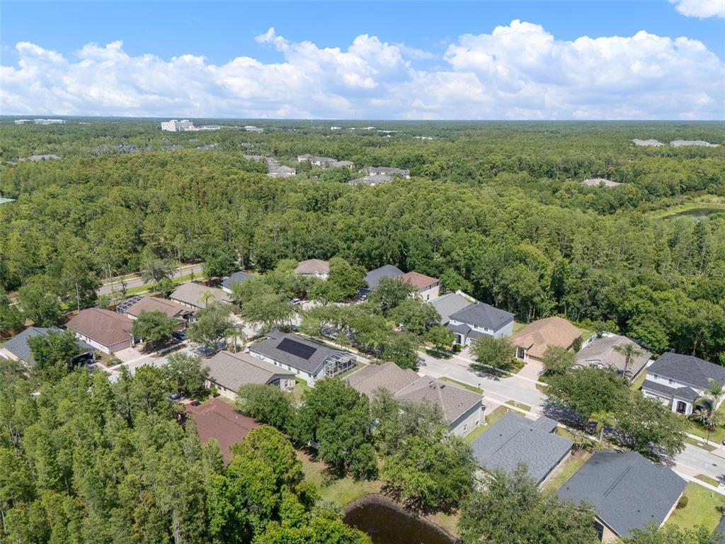 16230 Nottingham Road Tampa, FL 33647 - Photo 55 of 58 Gallery Image 55