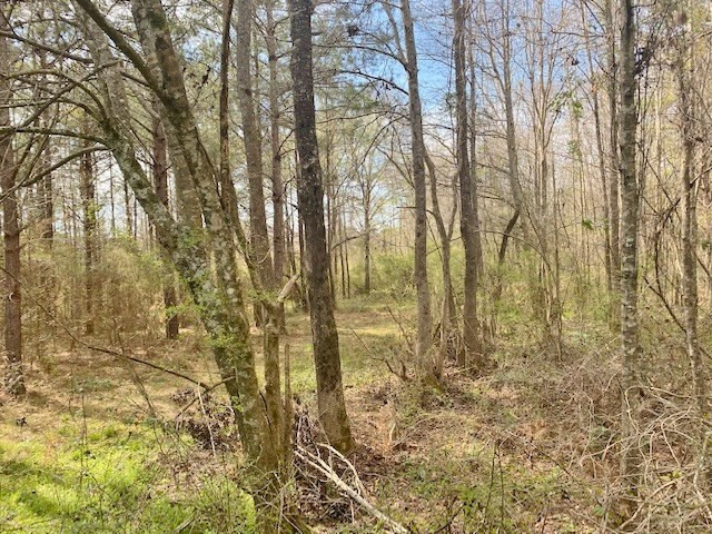 Tbd Union Church Road Tylertown, MS 39667 - Photo 11 of 13 Photo 11