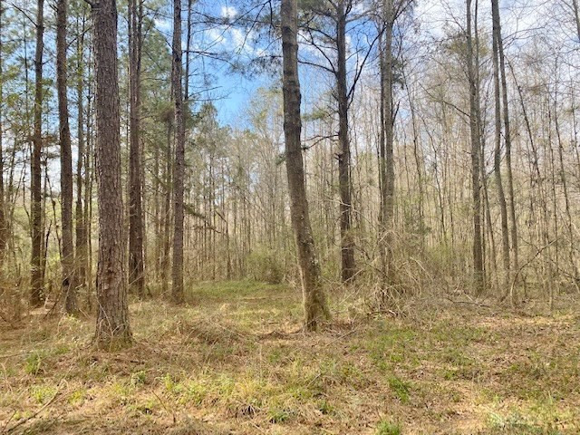 Tbd Union Church Road Tylertown, MS 39667 - Photo 12 of 13 Photo 12
