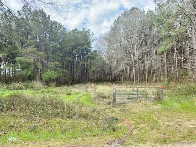Tbd Union Church Road Tylertown, MS 39667 - Photo 2 of 13 Photo 2