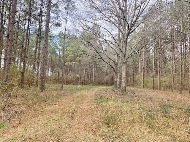 Tbd Union Church Road Tylertown, MS 39667 - Photo 3 of 13 Photo 3