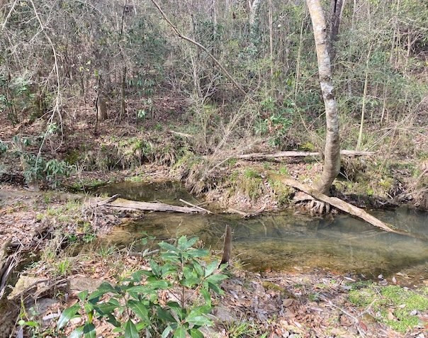Tbd Union Church Road Tylertown, MS 39667 - Photo 6 of 13 Photo 6
