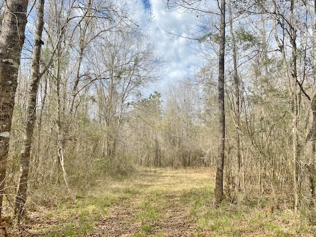 Tbd Union Church Road Tylertown, MS 39667 - Photo 7 of 13 Photo 7