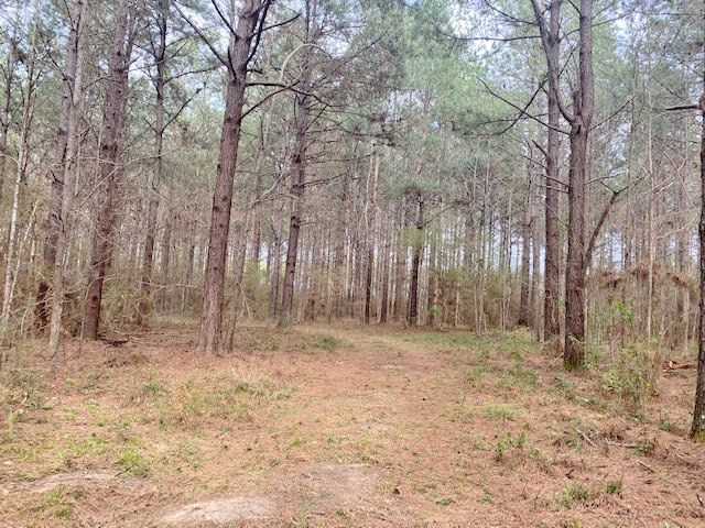 Tbd Union Church Road Tylertown, MS 39667 - Photo 8 of 13 Photo 8