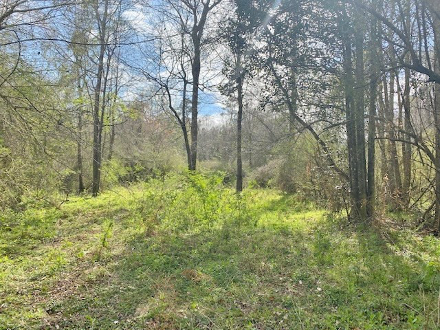 Tbd Union Church Road Tylertown, MS 39667 - Photo 10 of 13 Photo 10