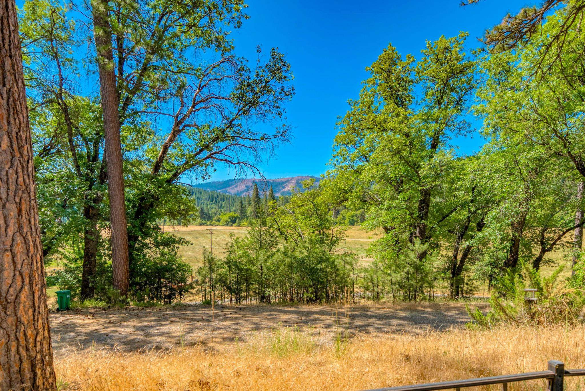1966 Chandler Road Quincy, CA 95971 - Photo 16 of 48
