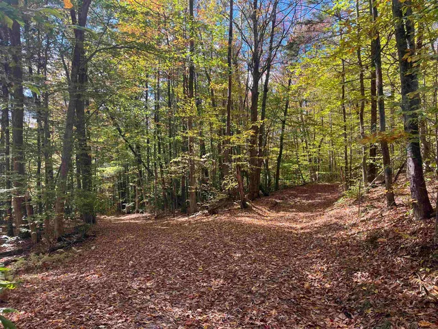 $297,000 | 0 Messier Hill Road, Roxbury, VT 05669