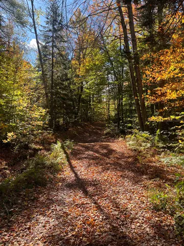 $297,000 | 0 Messier Hill Road, Roxbury, VT 05669