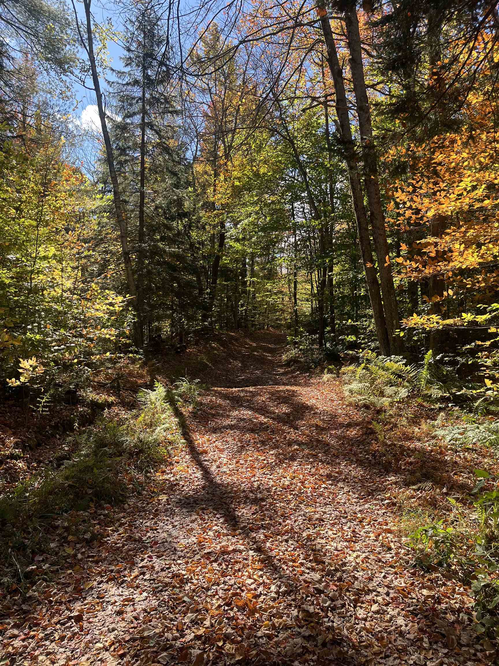 0 Messier Hill Road Roxbury, VT 05669 - Photo 11 of 26 Gallery Image 11