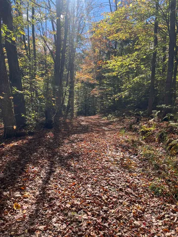 $297,000 | 0 Messier Hill Road, Roxbury, VT 05669