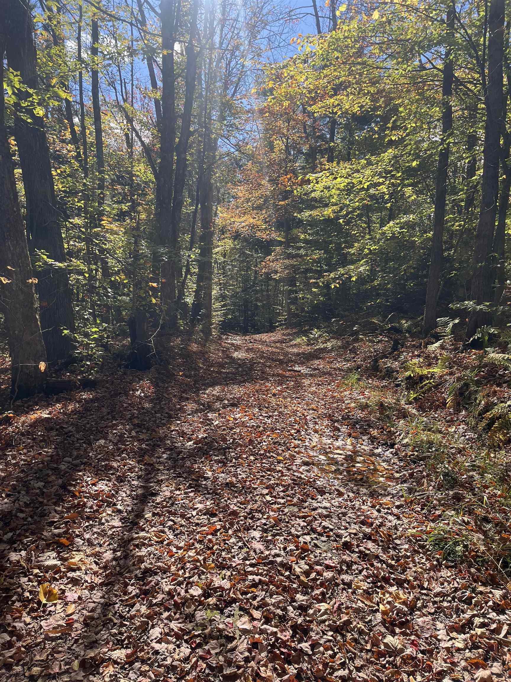 0 Messier Hill Road Roxbury, VT 05669 - Photo 12 of 26 Gallery Image 12