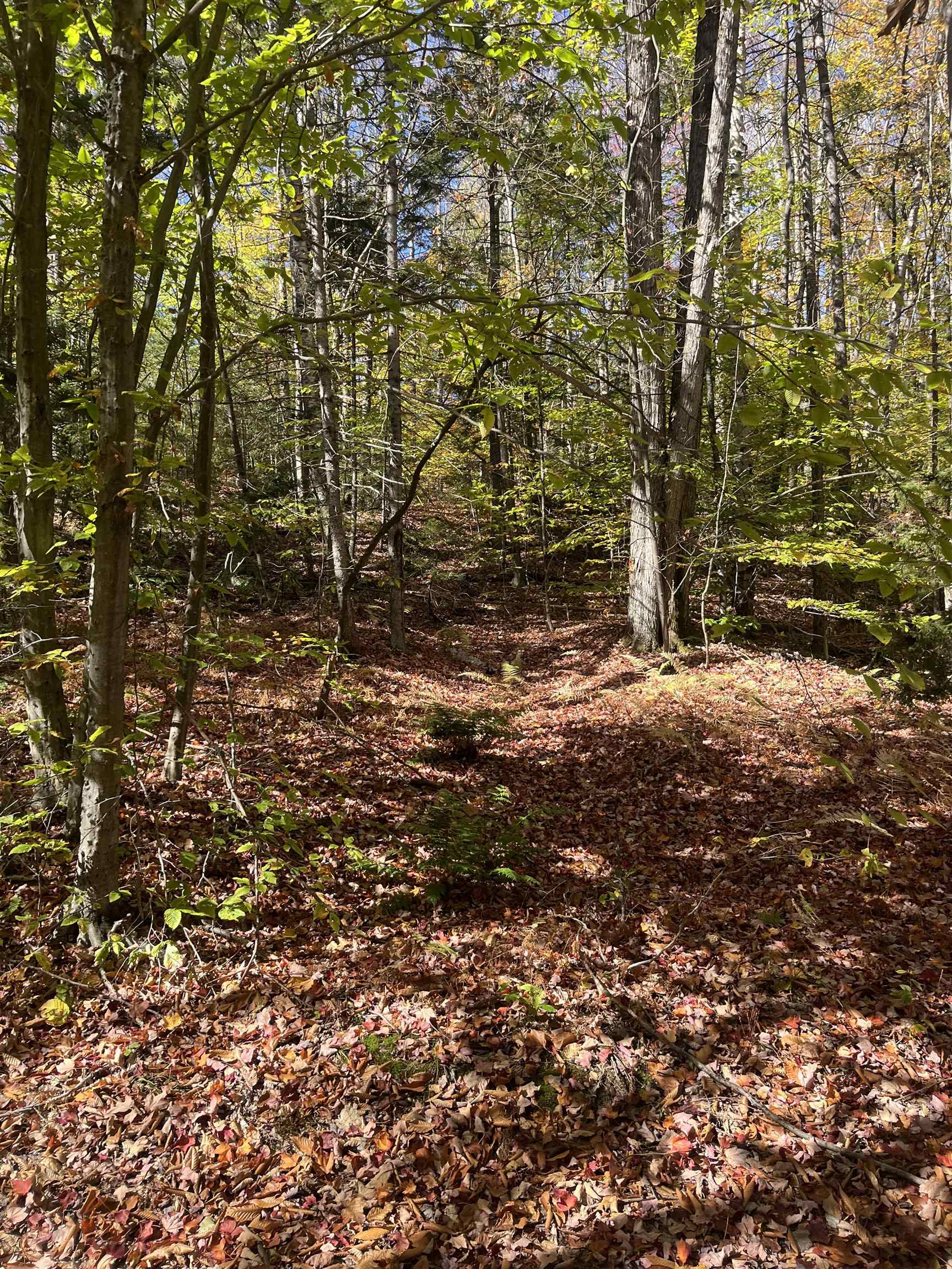 0 Messier Hill Road Roxbury, VT 05669 - Photo 13 of 26 Gallery Image 13