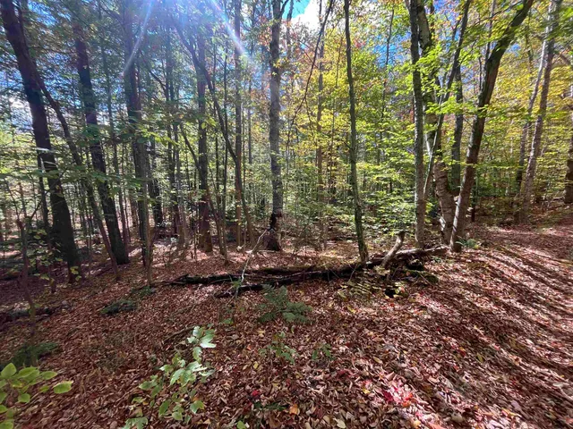 $297,000 | 0 Messier Hill Road, Roxbury, VT 05669