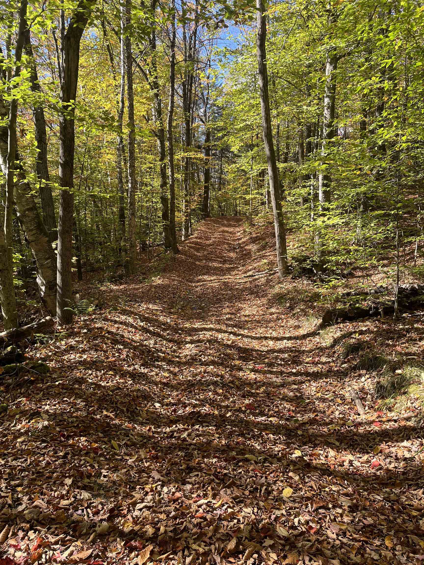 0 Messier Hill Road Roxbury, VT 05669 - Photo 15 of 26 Gallery Image 15