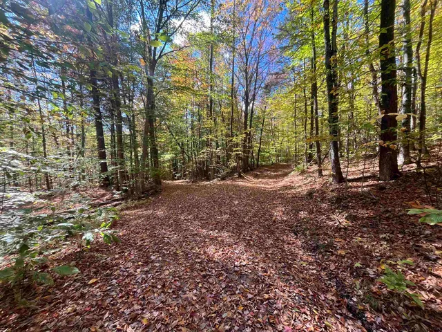 $297,000 | 0 Messier Hill Road, Roxbury, VT 05669