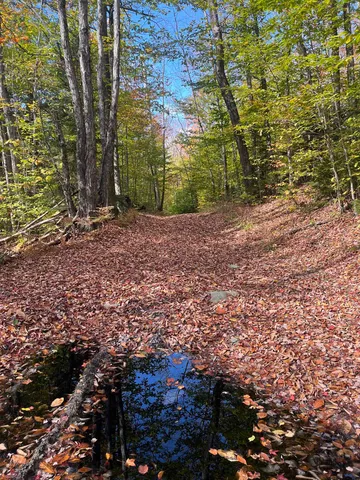 $297,000 | 0 Messier Hill Road, Roxbury, VT 05669