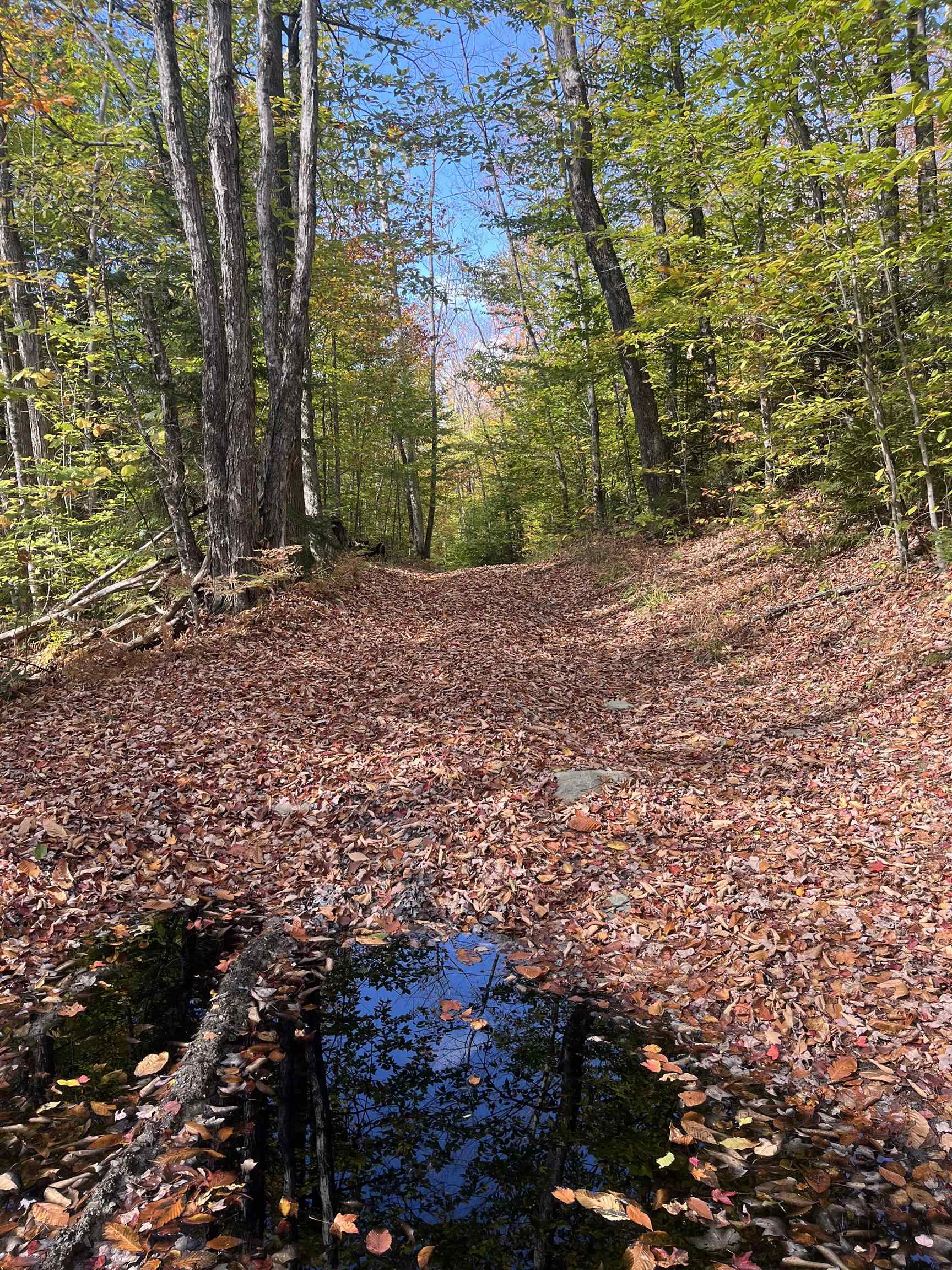 0 Messier Hill Road Roxbury, VT 05669 - Photo 17 of 26 Gallery Image 17