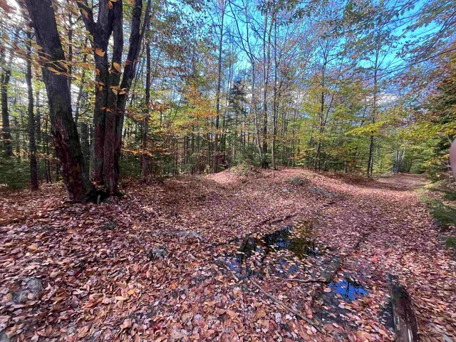 $297,000 | 0 Messier Hill Road, Roxbury, VT 05669