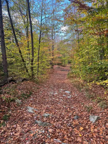 $297,000 | 0 Messier Hill Road, Roxbury, VT 05669