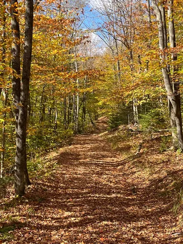 $297,000 | 0 Messier Hill Road, Roxbury, VT 05669