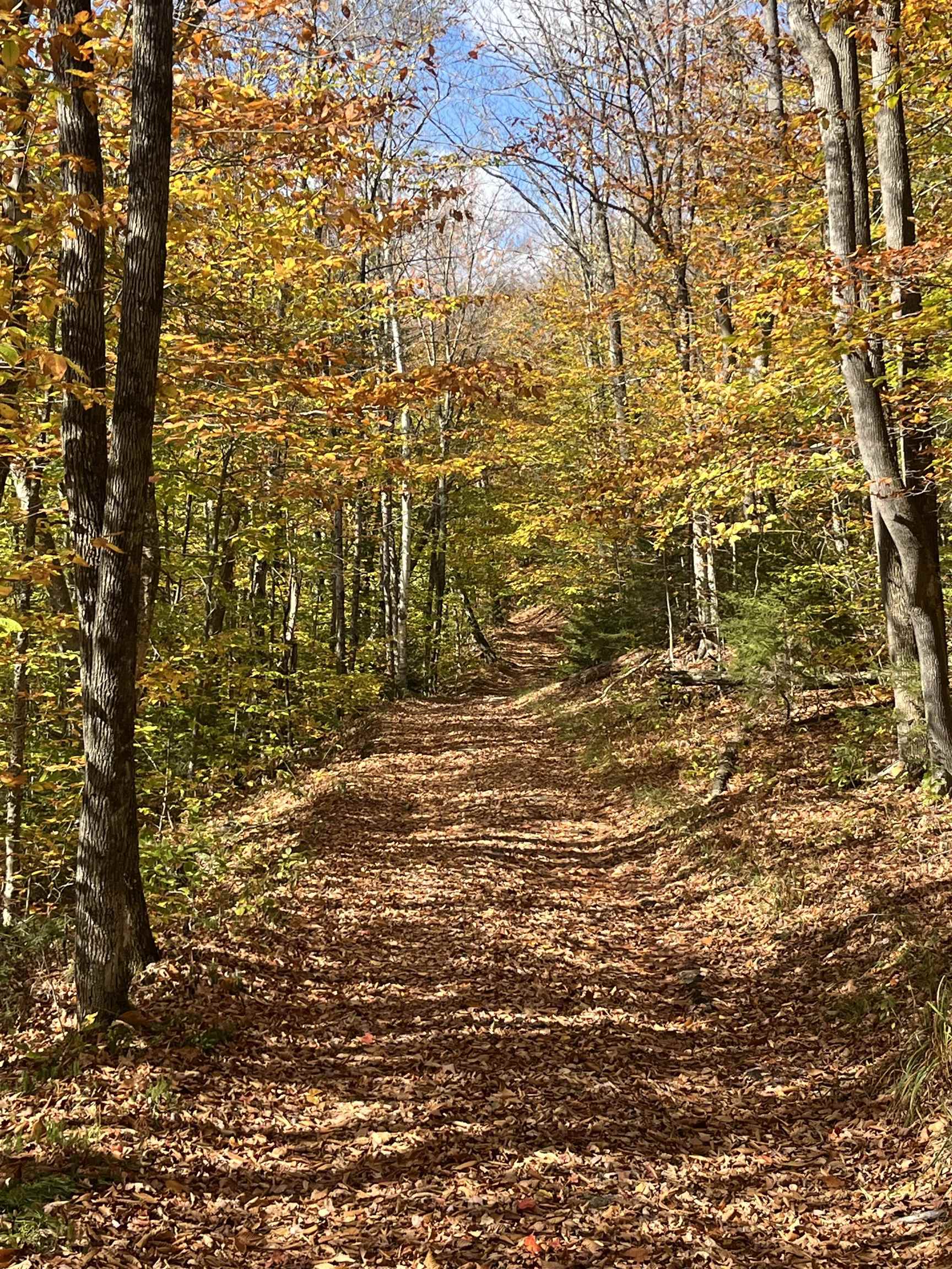 0 Messier Hill Road Roxbury, VT 05669 - Photo 20 of 26 Gallery Image 20