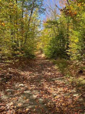 $297,000 | 0 Messier Hill Road, Roxbury, VT 05669