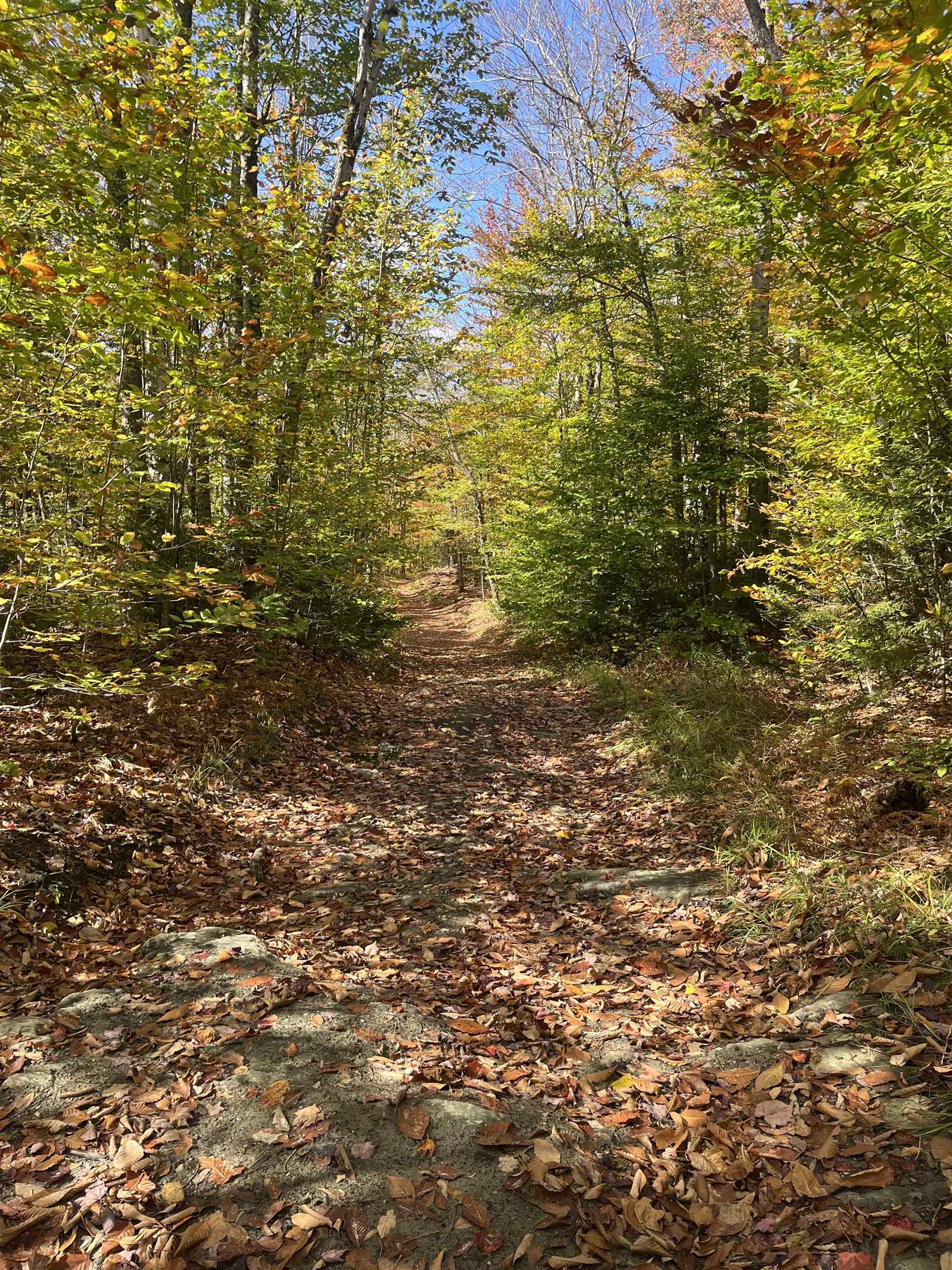0 Messier Hill Road Roxbury, VT 05669 - Photo 21 of 26 Gallery Image 21