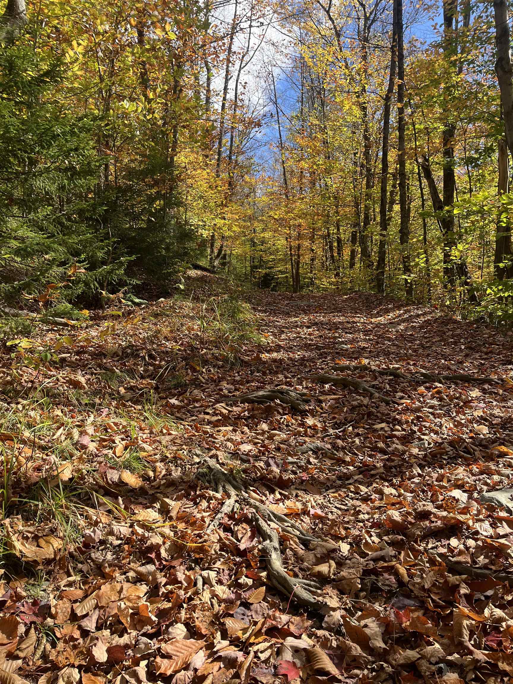 0 Messier Hill Road Roxbury, VT 05669 - Photo 22 of 26 Gallery Image 22