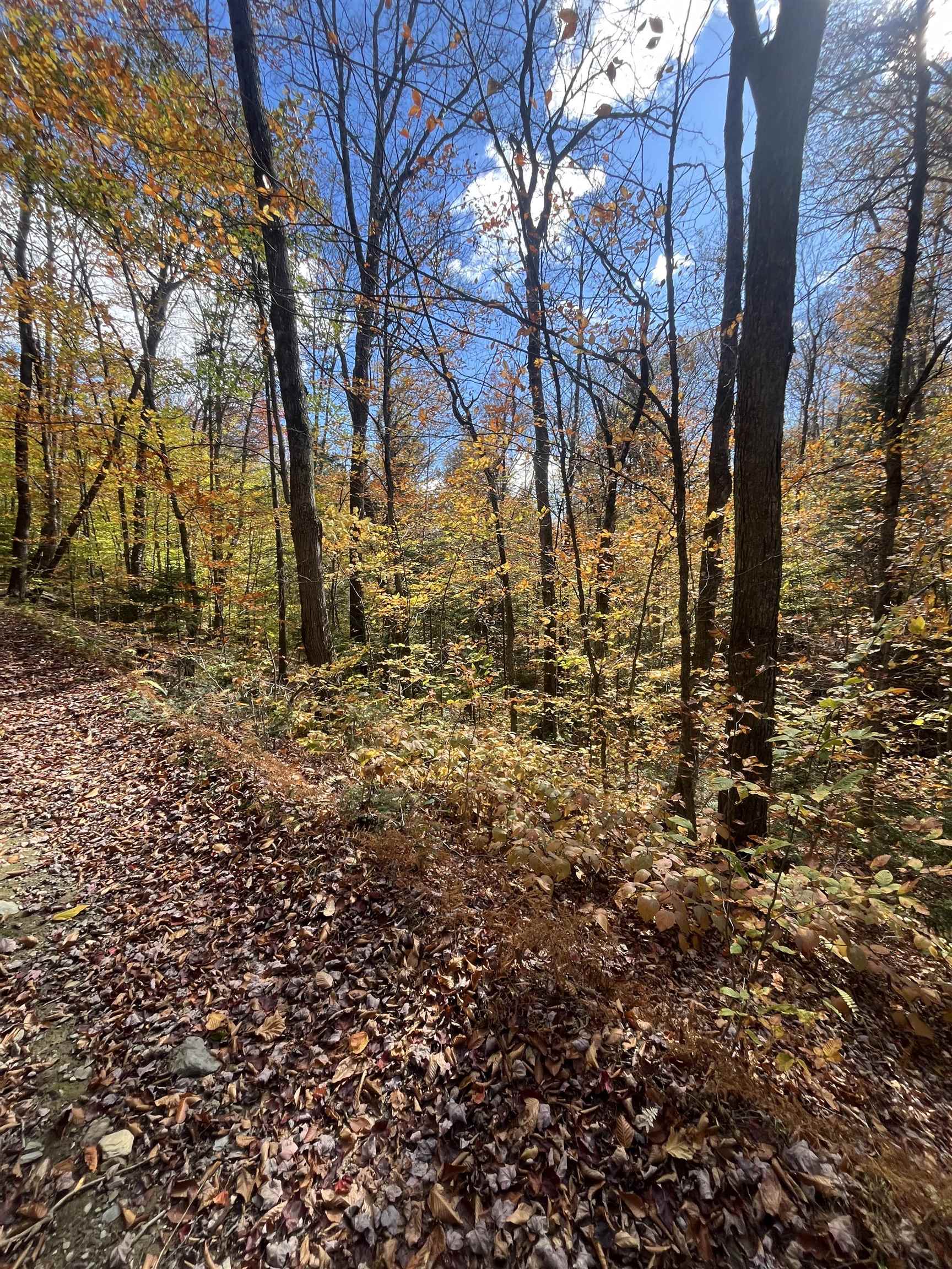 0 Messier Hill Road Roxbury, VT 05669 - Photo 23 of 26 Gallery Image 23