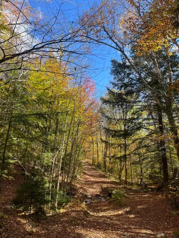 $297,000 | 0 Messier Hill Road, Roxbury, VT 05669