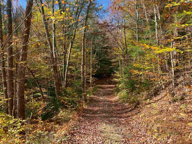 $297,000 | 0 Messier Hill Road, Roxbury, VT 05669