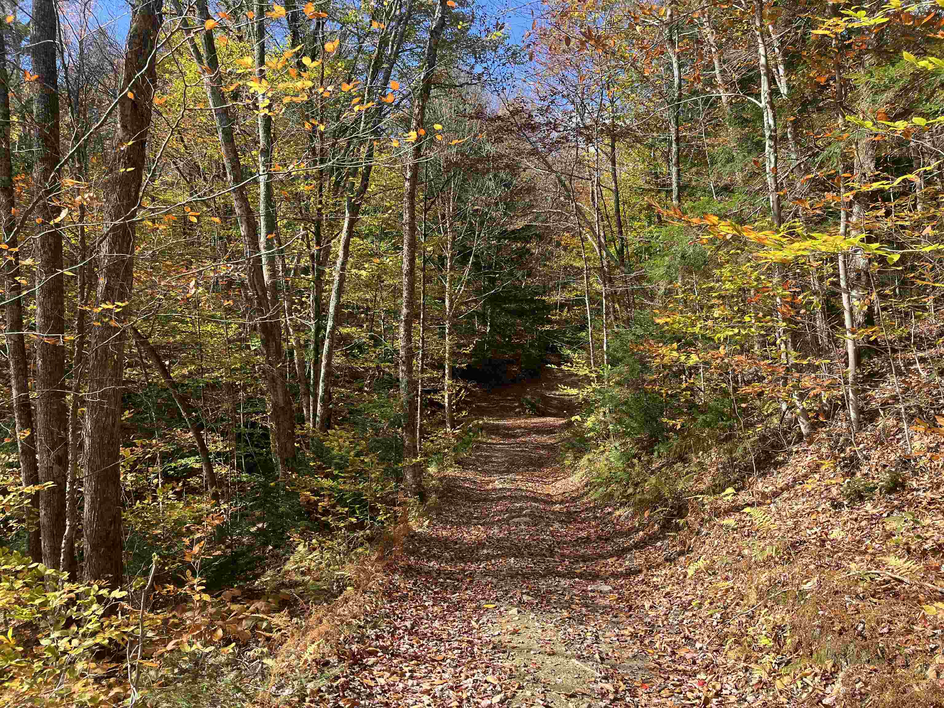 0 Messier Hill Road Roxbury, VT 05669 - Photo 25 of 26 Gallery Image 25