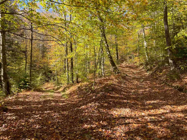 $297,000 | 0 Messier Hill Road, Roxbury, VT 05669