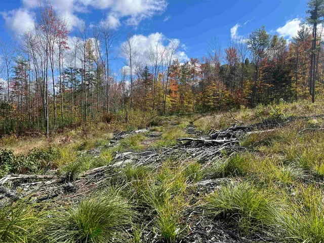 $297,000 | 0 Messier Hill Road, Roxbury, VT 05669