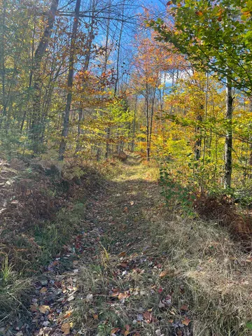 $297,000 | 0 Messier Hill Road, Roxbury, VT 05669