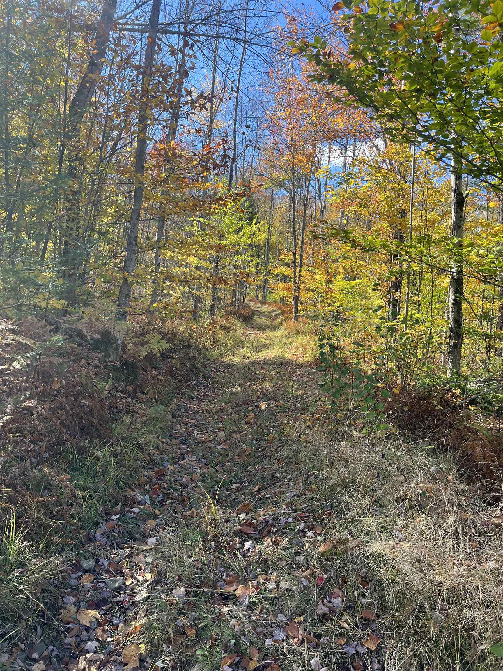 0 Messier Hill Road Roxbury, VT 05669 - Photo 5 of 26 Gallery Image 5