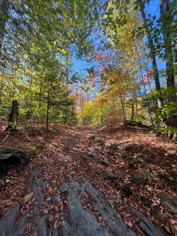 $297,000 | 0 Messier Hill Road, Roxbury, VT 05669