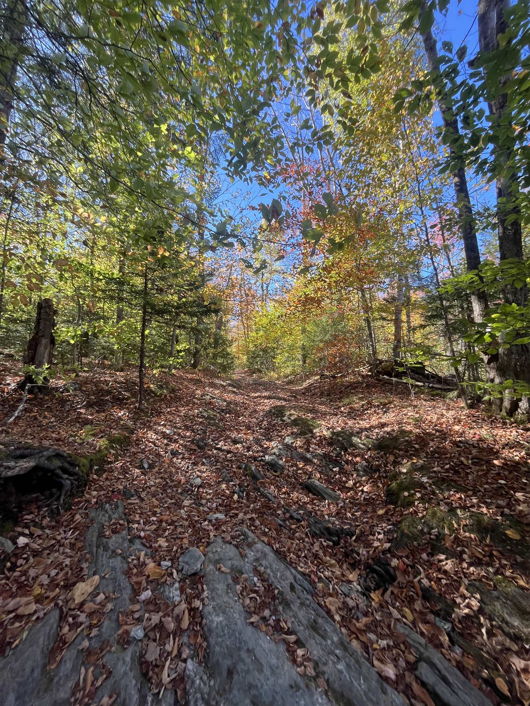 0 Messier Hill Road Roxbury, VT 05669 - Photo 6 of 26 Gallery Image 6