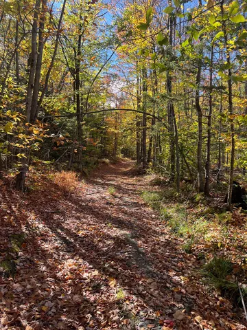 $297,000 | 0 Messier Hill Road, Roxbury, VT 05669