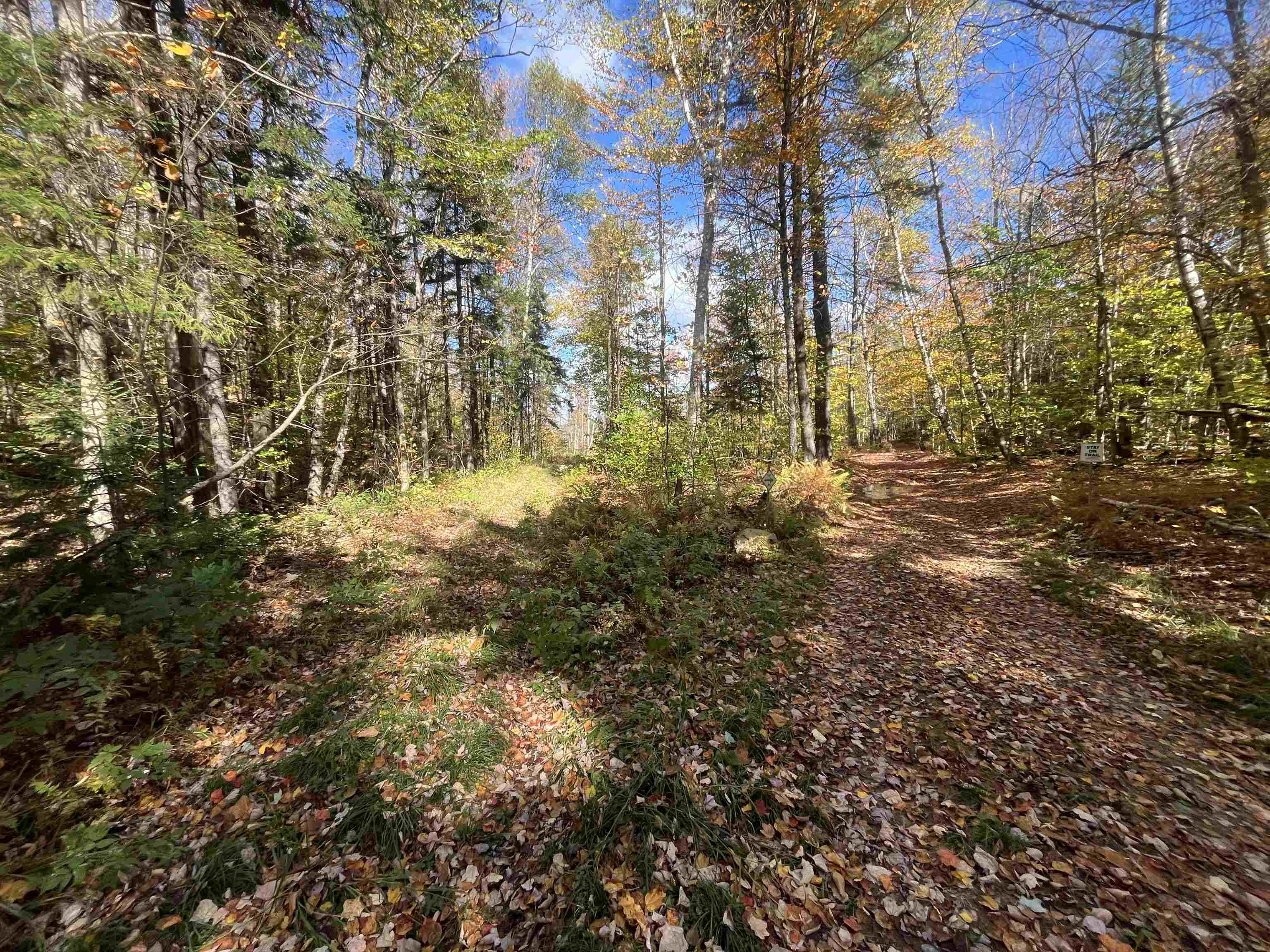 0 Messier Hill Road Roxbury, VT 05669 - Photo 8 of 26 Gallery Image 8