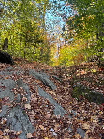 $297,000 | 0 Messier Hill Road, Roxbury, VT 05669