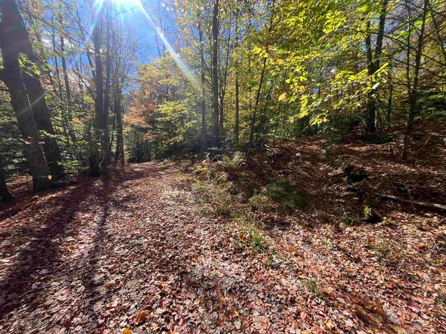 $297,000 | 0 Messier Hill Road, Roxbury, VT 05669