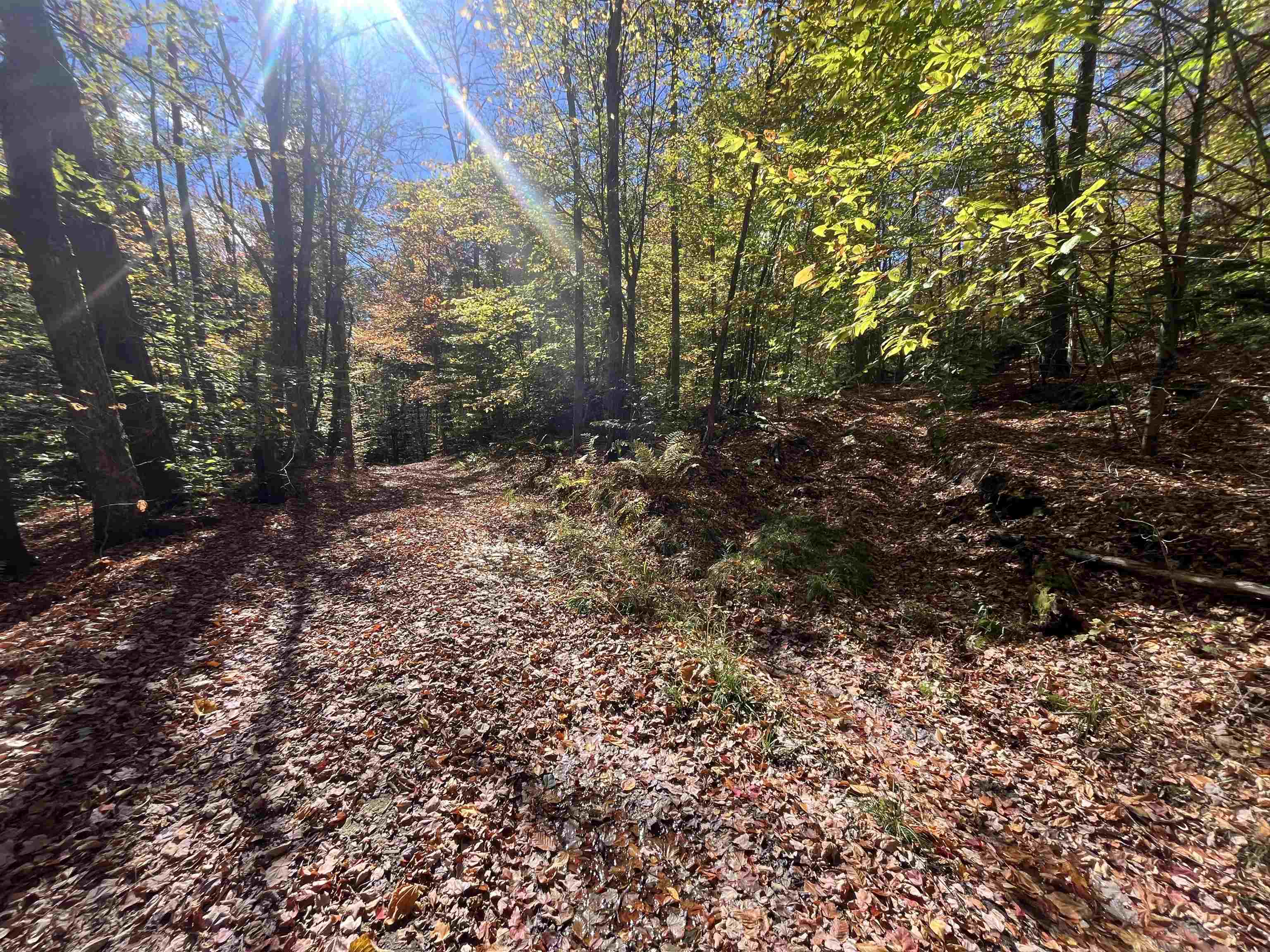 0 Messier Hill Road Roxbury, VT 05669 - Photo 10 of 26 Gallery Image 10